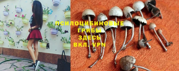 стафф Алексеевка